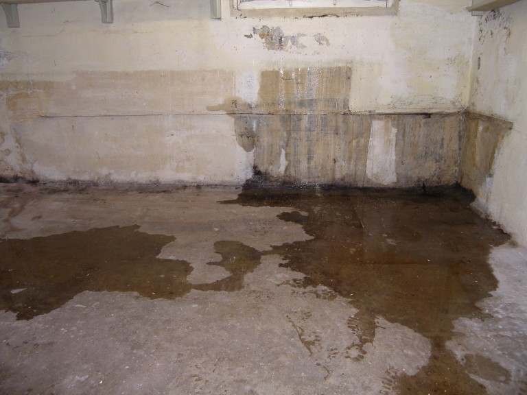 Navigating the Challenges of Basement Water Damage
