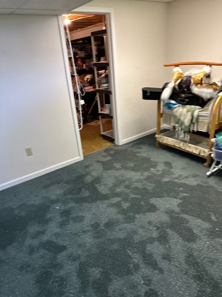 wet basement carpet in langhorne pa home